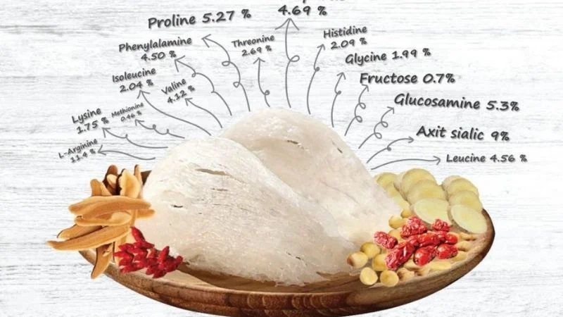 Carbohydrate, glycoprotein và các khoáng chất như canxi và sắt là những chất dinh dưỡng chính có trong yến sào